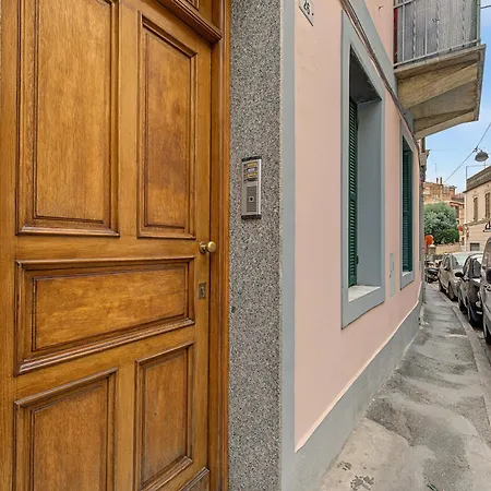 Il Gattino Di 3 *